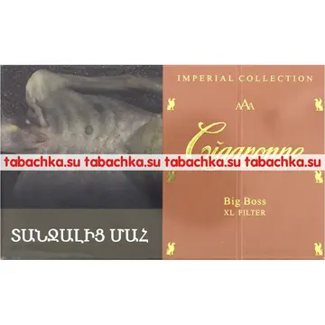 Сигареты Cigaronne Big Boss XL Filter